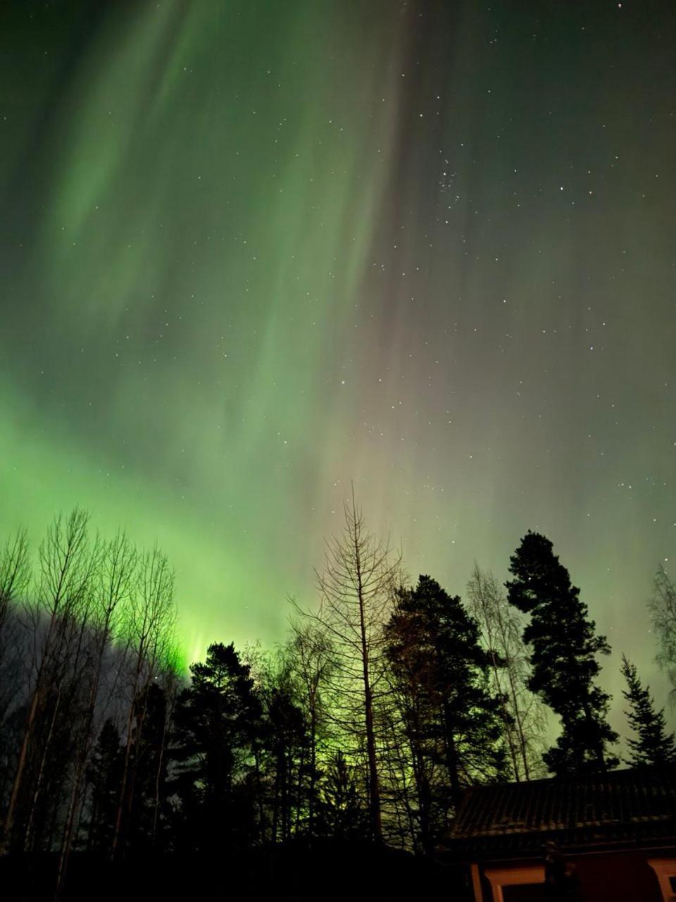 Lossisaari Tourist Center Keitele Luaran gambar
